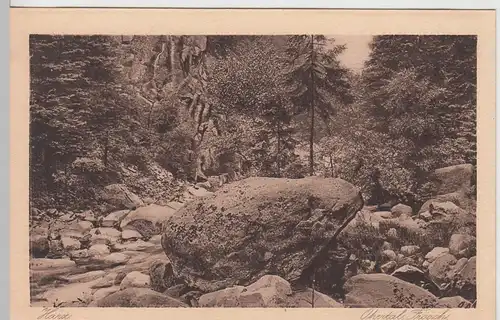 (104355) AK Harz, Okertal, Frosch, 1920er