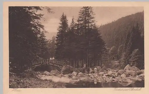 (104353) AK Harz, Partie im Okertal, 1920er