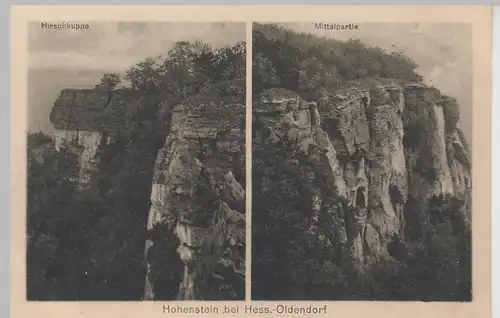 (104302) AK Hohenstein bei Hessisch Oldendorf, Hirschkuppe u. Mittelpartie, vor