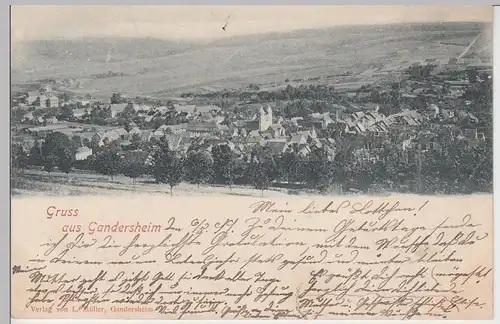 (100924) AK Gruß aus Gandersheim, Panorama 1899