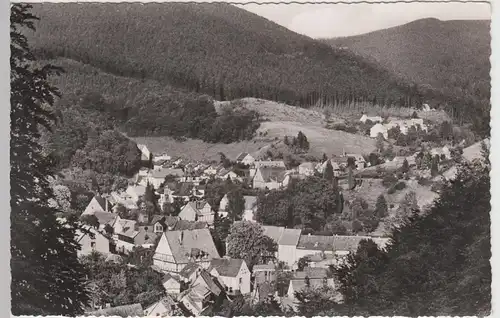 (100329) Foto AK Bad Grund, Harz, Panorama 1955