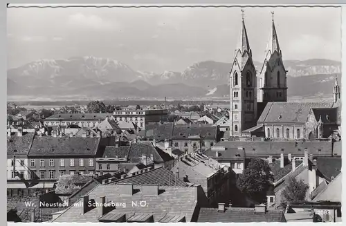 (53465) Foto AK Wiener Neustadt mit Schneeberg, nach 1945