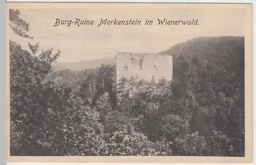 (51027) AK Bad Vöslau, Ruine Merkenstein, 1914
