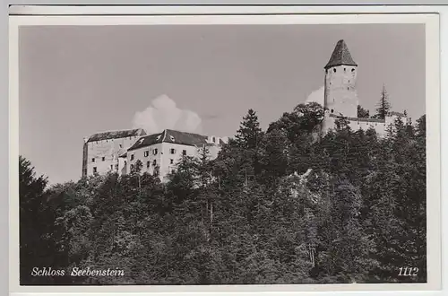 (35597) Foto AK Burg Seebenstein, 1951