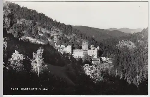 (21610) Foto AK Weinzierl am Walde, Burg Hartenstein 1954