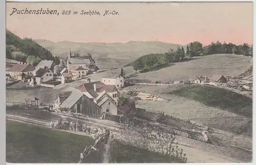 (113003) AK Puchenstuben, Gesamtansicht 1907