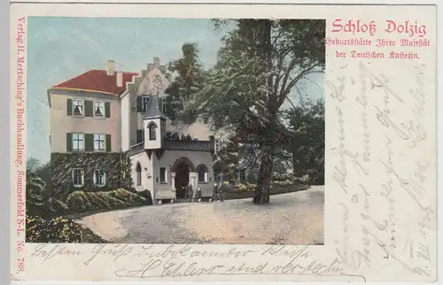 (115082) AK Dluzek (Dolzig), Schloss 1900
