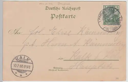 (115082) AK Dluzek (Dolzig), Schloss 1900
