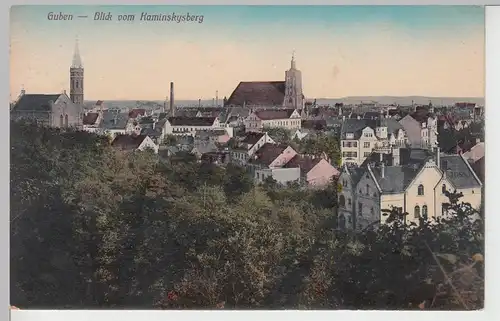 (106890) AK Guben, Gubin, Stadtkirche, Blick vom Kaminskysberg, Feldpost 1917