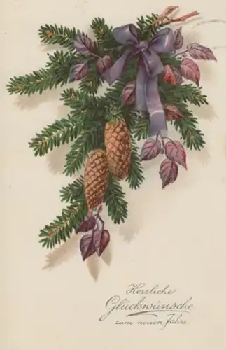 (228) AK Neujahr, Tannenzweig mit Zapfen und Schleife 1925