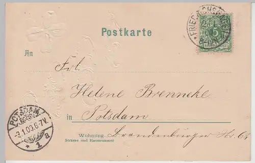 (105531) AK Neujahr, Prosit, 1900, Goldprägung