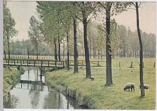 (96415) AK Münsterland bei Nottuln, 1945-1950er