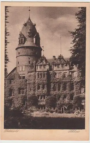 (95890) AK Detmold, Schloss vor 1945