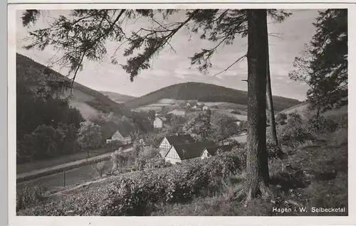 (79306) Foto AK Hagen, Westf., Selbecketal 1955