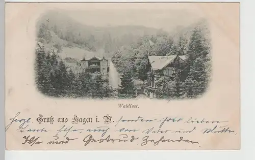 (76623) AK Gruss aus Hafen i.W., Waldlust, 1897