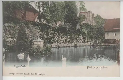 (76616) AK Bad Lippspringe, Lippe-Quelle, bis 1905 (gel. 1910)