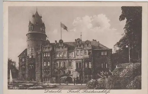 (74689) AK Detmold, Fürstliches Residenzschloss, vor 1918
