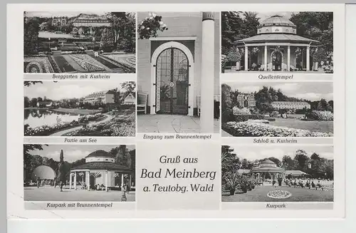 (72097) AK Bad Meinberg, Mehrbild, Berggarten, Quellentempel, Kurpark