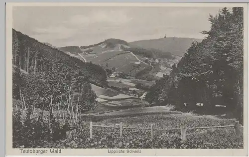 (71977) AK Lippische Schweiz (bei Detmold) im Teutoburger Wald, vor 1945