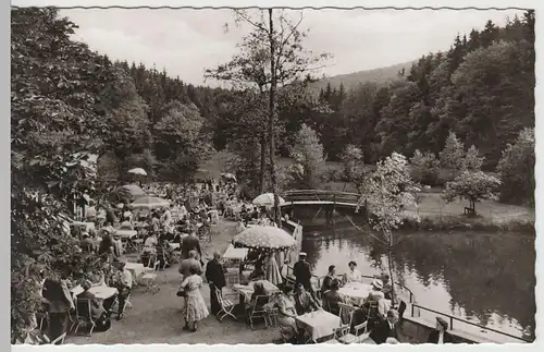 (71978) Foto AK Leopoldstal, Waldhotel Silbermühle im Teutoburger Wald nach 1945