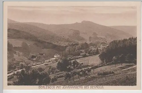 (71152) AK Berlebeck bei Detmold, Ansicht mit Johannaberg, vor 1945