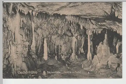(66015) AK Dechenhöhle Iserlohn, Säulenhalle, Henne u. Hund, vor 1945