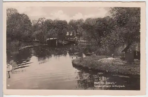 (54473) Foto AK Werl (Kreis Soest), Schwanenteich im Kurpark, vor 1945