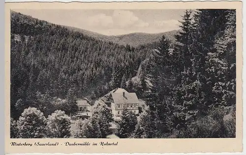 (40801) AK Winterberg (Sauerland), Daubermühle im Nuhnetal, 1950