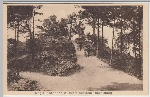 (40617) AK Duivelsberg, Weg zur Aussicht 1910/20er