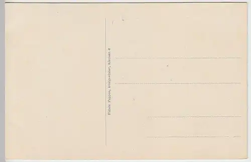 (39392) AK Königswinter, Schloss Drachenburg vor 1945