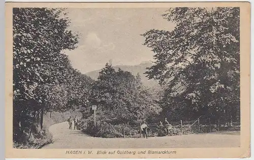 (32066) AK Hagen i.W., Blick a. Goldberg u. Bismarckturm, Feldpost 1918