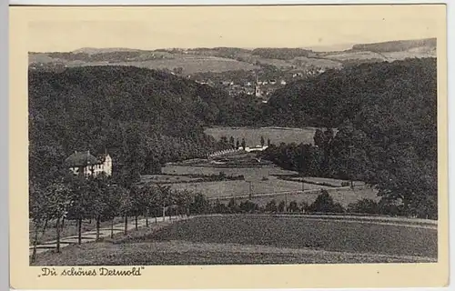 (20196) AK Detmold, ländliche Gegend, vor 1945