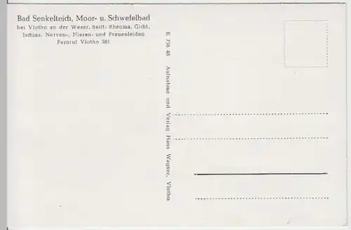 (13374) AK Vlotho, Birkenallee nach Bad Senkelteich, vor 1945