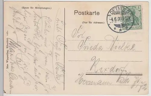 (115799) AK Detmold, Residenzschloss 1909