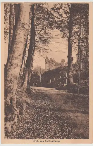 (114371) AK Gruß aus Tecklenburg, Hotel Burggraf 1927