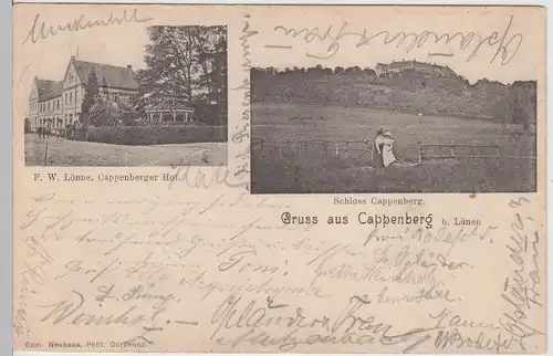 (112927) AK Gruss aus Cappenberg b. Lünen, Cappenberger Hof u. Schloss 1901