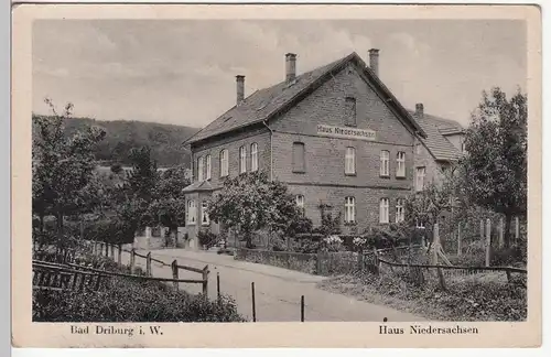 (110580) AK Bad Driburg, Haus Niedersachsen, vor 1945