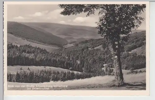 (110052) Foto AK Ohlenbachtal, Schmallenberg, Blick von der Straße Altastenberg