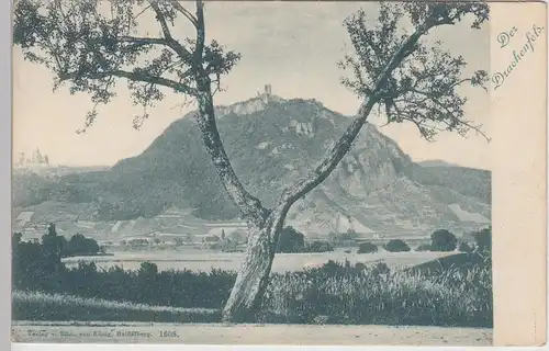 (110033) AK Blick zum Drachenfels, Siebengebirge, bis 1905