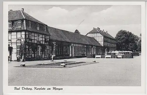 (109965) AK Bad Driburg, Kurplatz am Morgen 1956