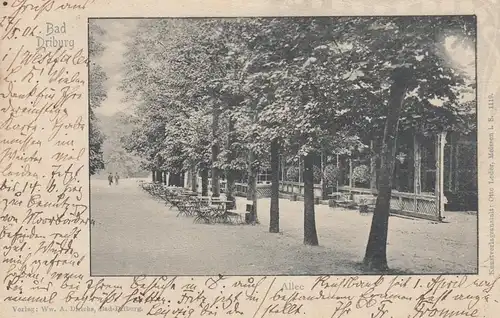 (107789) AK Bad Driburg, Allee, Gartentische 1902