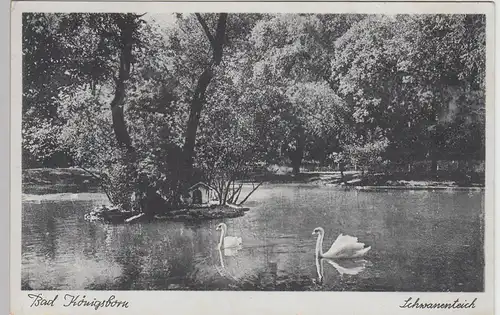 (105827) AK Bad Königsborn, Schwanenteich, 1941