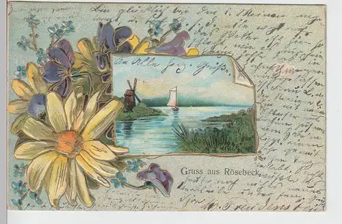 (101490) AK Gruss aus Rösebeck, Windmühle am See, Prägekarte Blumendekor, 1907