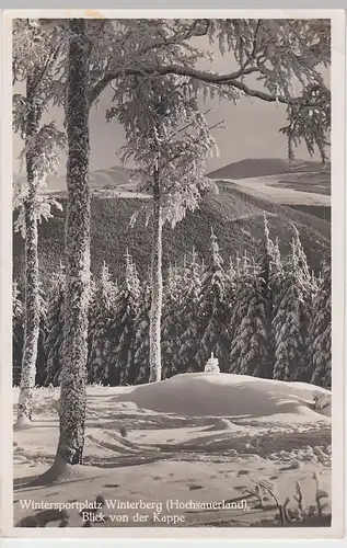 (100498) Foto AK Winterberg, Hochsauerland, Blick von der Kappe, Wintermotiv 193
