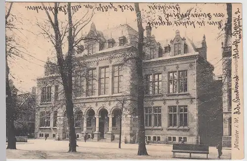 (91418) AK Münster, Westf., Kgl. Universität 1905