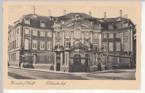 (113196) AK Münster, Westfalen, Erbdrostenhof, vor 1945