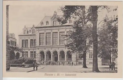 (111810) AK Münster, Westf., Universität, vor 1945