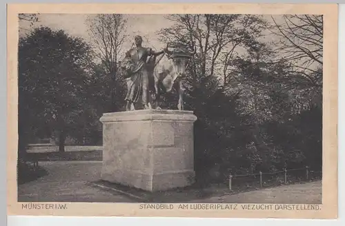 (104122) AK Münster i.W., Standbild am Ludgeriplatz, Viehzucht, 1920er