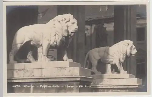 (20924) Foto AK München, Feldherrnhalle, Löwen, vor 1945