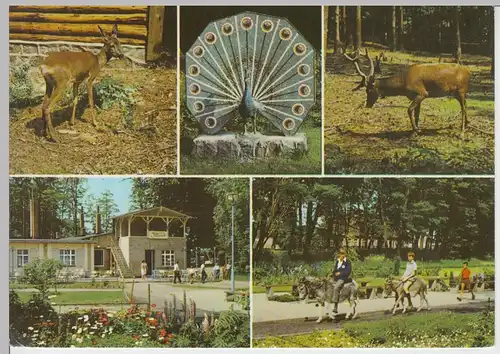 (99447) AK Ueckermünde, Mehrbildkarte Tierpark, 1973